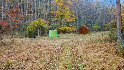 0 Lower Sleith Road Duck WV 25063