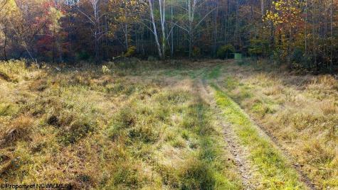 0 Lower Sleith Road Duck WV 25063