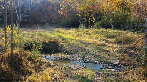 0 Lower Sleith Road Duck WV 25063