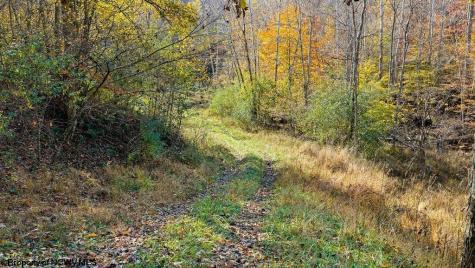 0 Lower Sleith Road Duck WV 25063