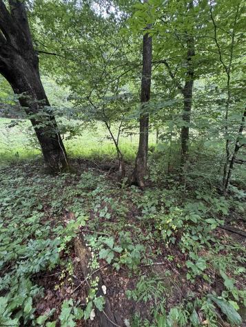 0 Copley Road Weston WV 26452