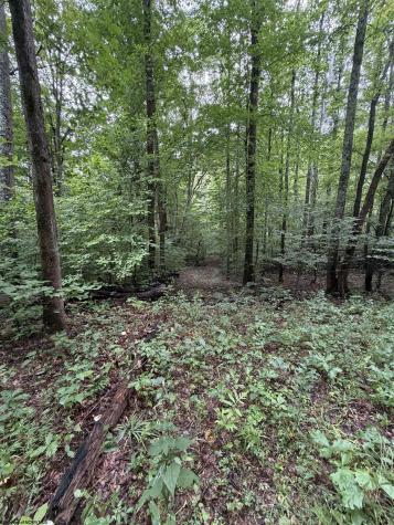 0 Copley Road Weston WV 26452