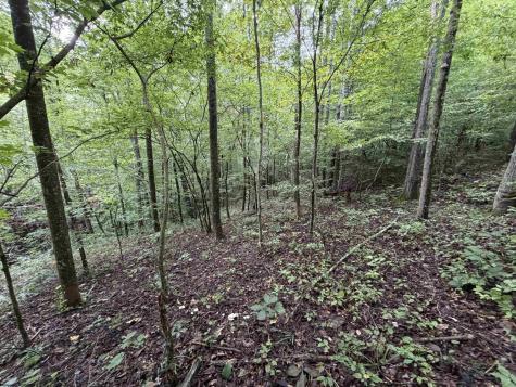 0 Copley Road Weston WV 26452