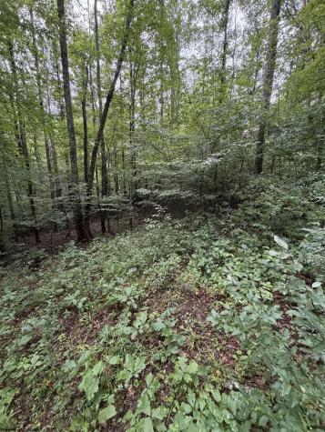 0 Copley Road Weston WV 26452