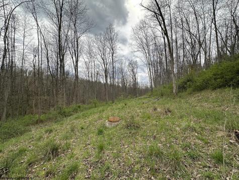0 Stonehurst Drive Morgantown WV 26501