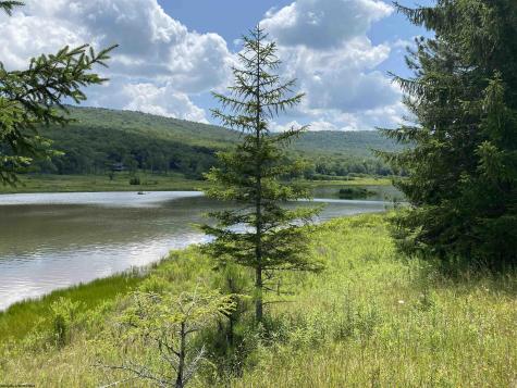 42 Bobcat Road Davis WV 26260