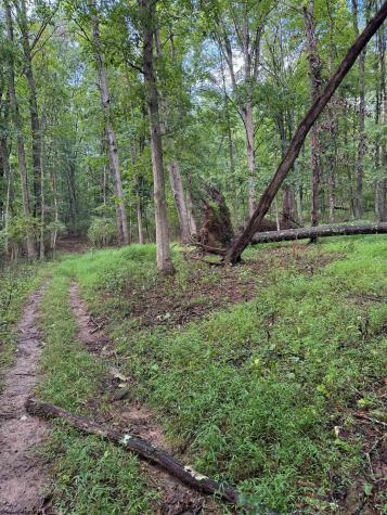 0 Carol Street Buckhannon WV 26201