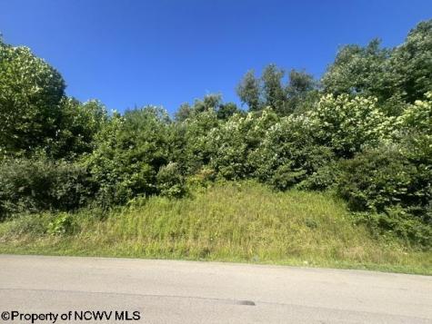 3 David Daniels Drive Fairmont WV 26554