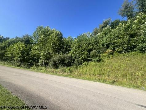 3 David Daniels Drive Fairmont WV 26554