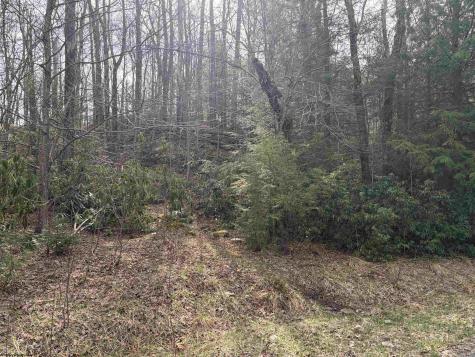 81 Gondola Court Davis WV 26260