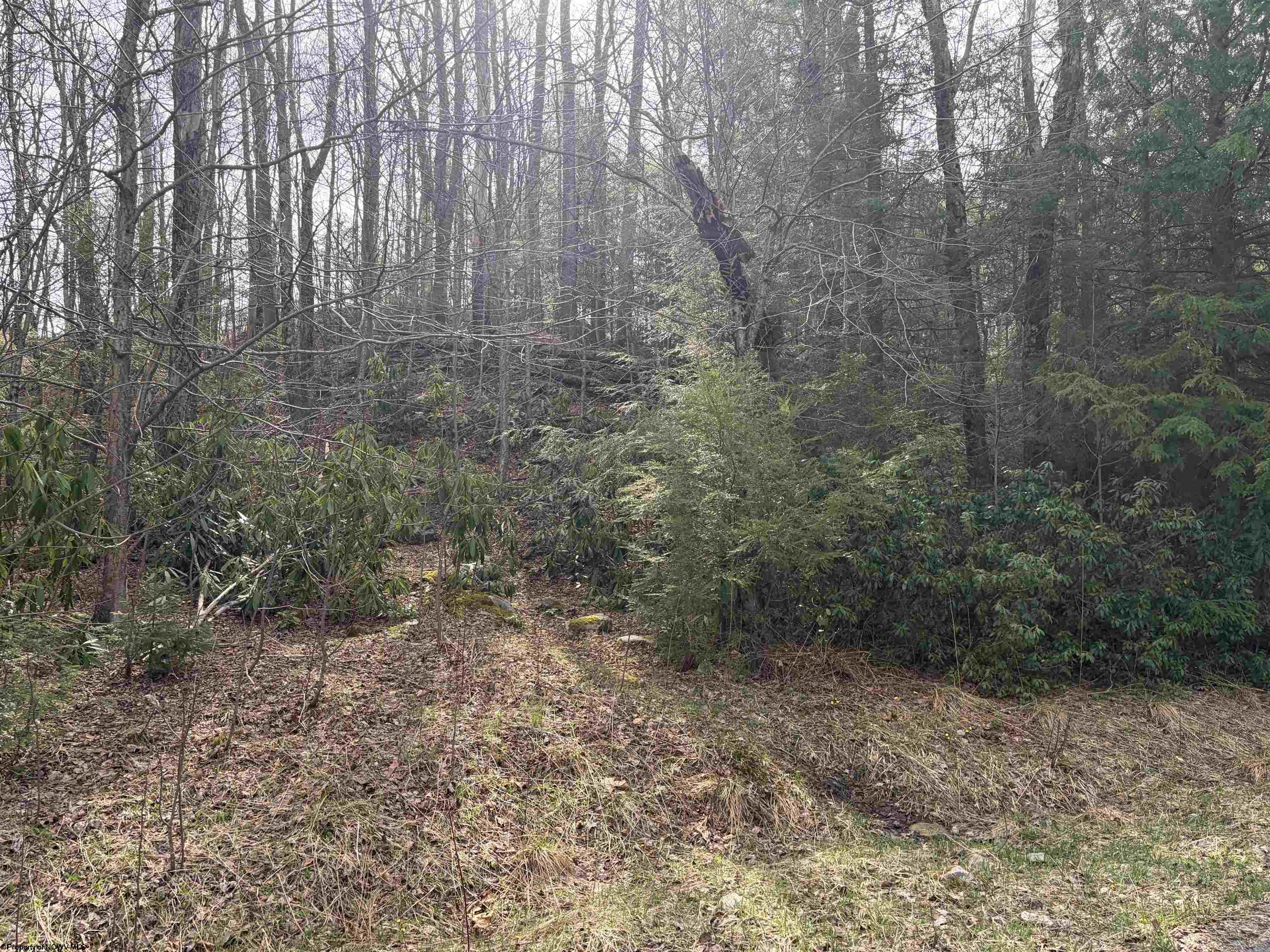 81 Gondola Court Davis WV 26260