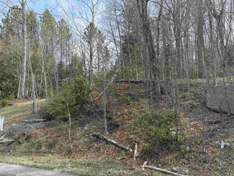 81 Gondola Court Davis WV 26260