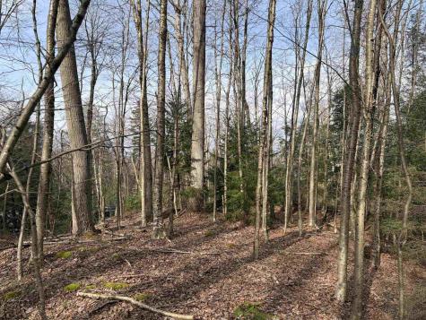 81 Gondola Court Davis WV 26260
