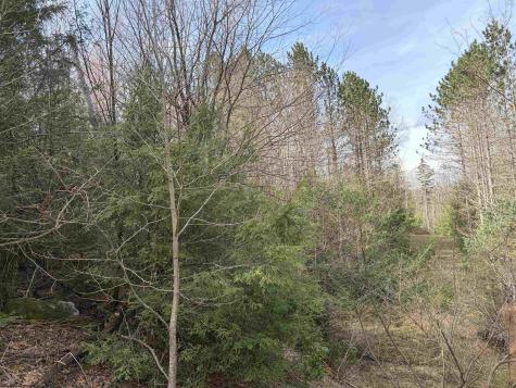 81 Gondola Court Davis WV 26260
