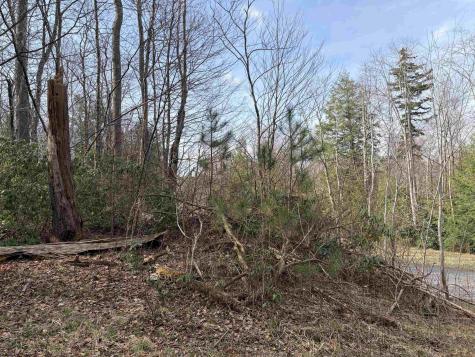 81 Gondola Court Davis WV 26260