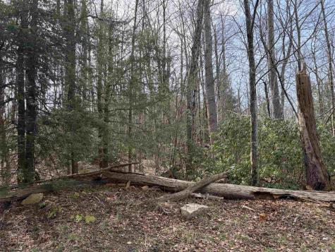 81 Gondola Court Davis WV 26260
