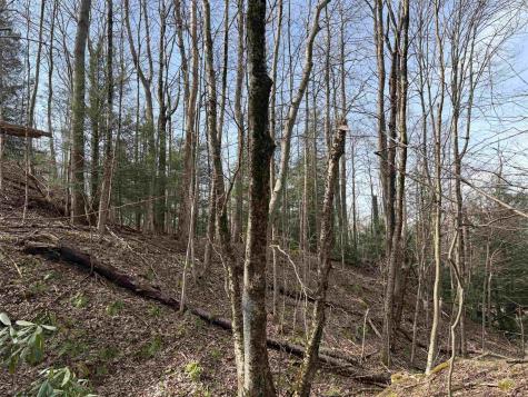 81 Gondola Court Davis WV 26260