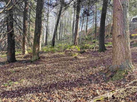 12 Whitewater Parkway Bruceton Mills WV 26525