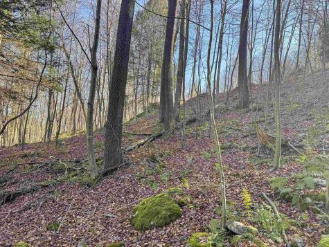 12 Whitewater Parkway Bruceton Mills WV 26525