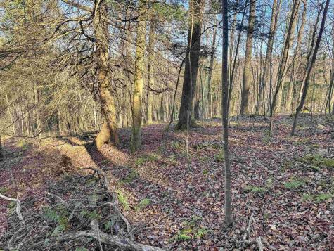 12 Whitewater Parkway Bruceton Mills WV 26525