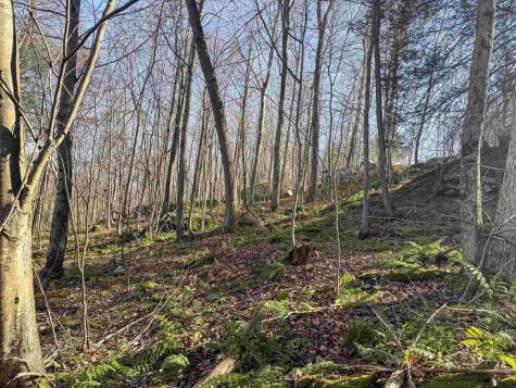 12 Whitewater Parkway Bruceton Mills WV 26525