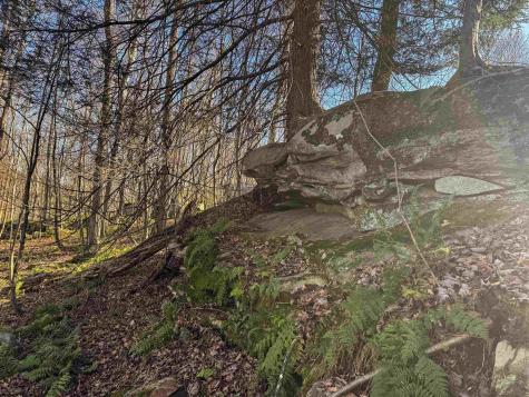 12 Whitewater Parkway Bruceton Mills WV 26525