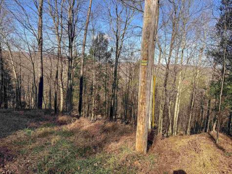 12 Whitewater Parkway Bruceton Mills WV 26525