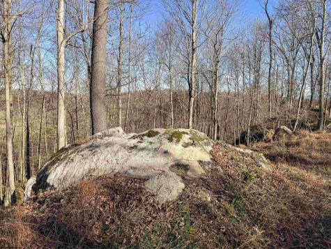 12 Whitewater Parkway Bruceton Mills WV 26525