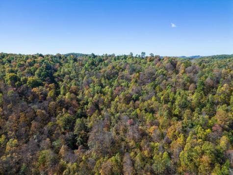 0 Tappan Road Bridgeport WV 26330