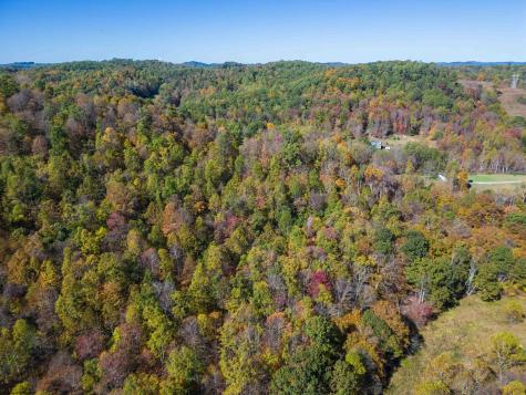 0 Tappan Road Bridgeport WV 26330