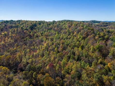 0 Tappan Road Bridgeport WV 26330