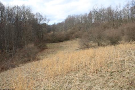 Lot 8 Cascade Ridge Masontown WV 26542