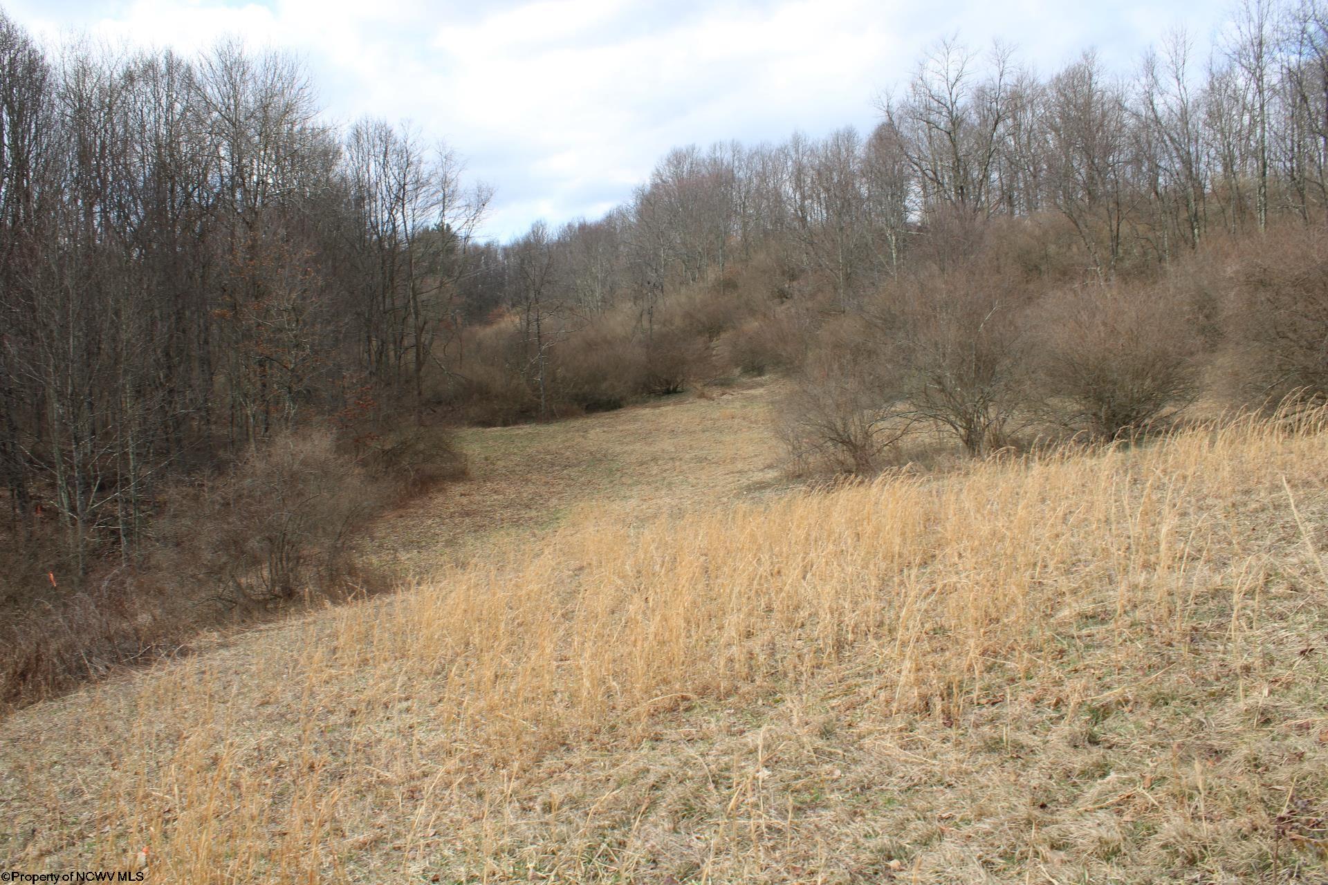 8 Cascade Ridge Masontown WV 26542