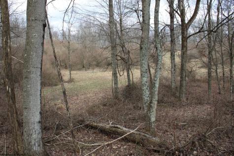 8 Cascade Ridge Masontown WV 26542