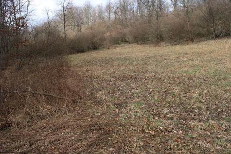 Lot 8 Cascade Ridge Masontown WV 26542