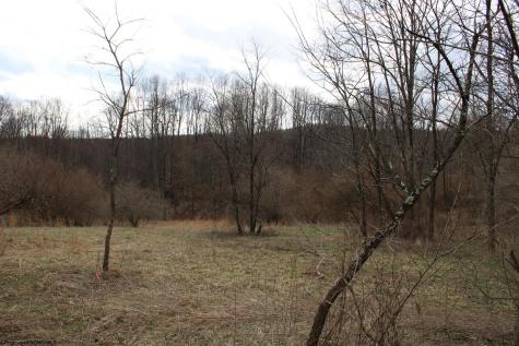 8 Cascade Ridge Masontown WV 26542