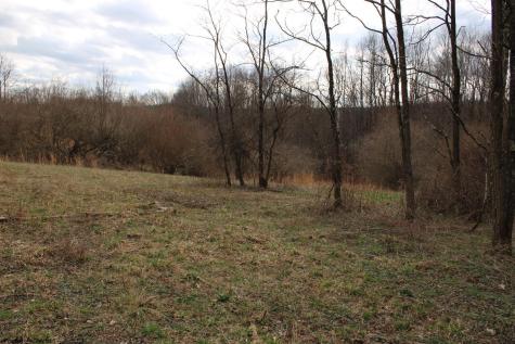 8 Cascade Ridge Masontown WV 26542