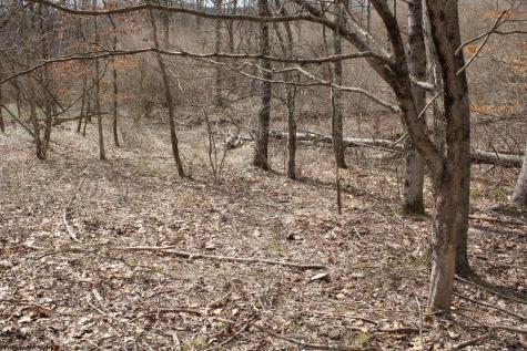 8 Cascade Ridge Masontown WV 26542