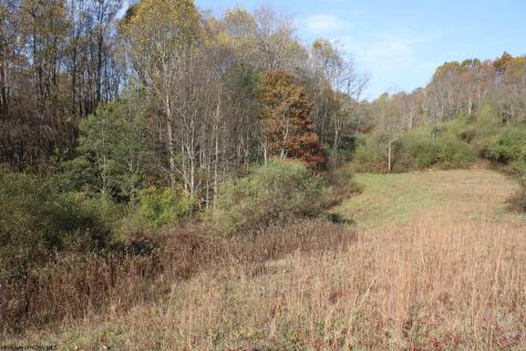 8 Cascade Ridge Masontown WV 26542