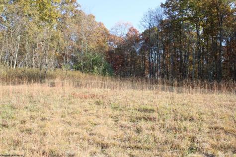 8 Cascade Ridge Masontown WV 26542