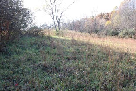 8 Cascade Ridge Masontown WV 26542