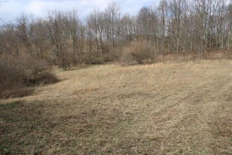 8 Cascade Ridge Masontown WV 26542