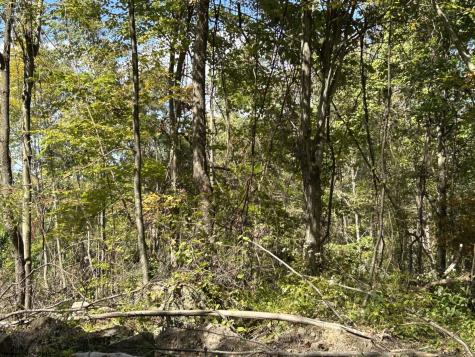 3 Crane School Road Terra Alta WV 26764