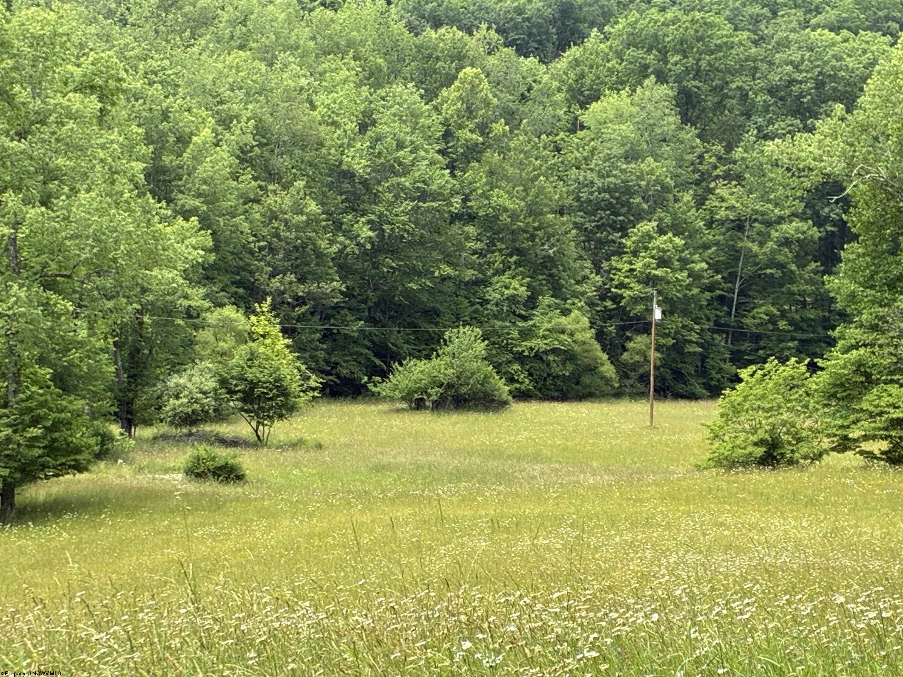 1168 Heaston Ridge Road Crawford WV 26343