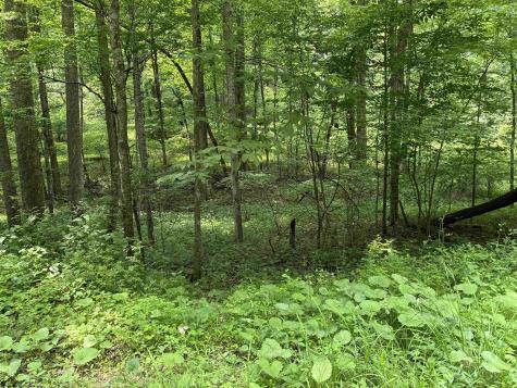 1168 Heaston Ridge Road Crawford WV 26343