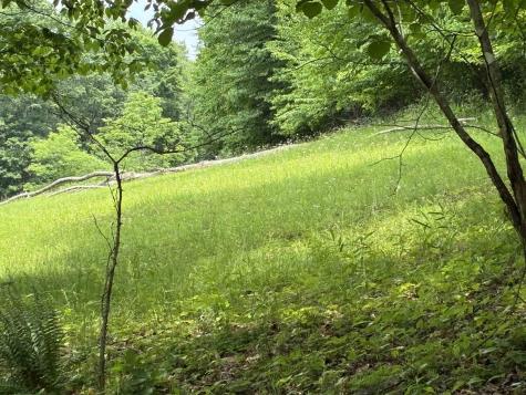 1168 Heaston Ridge Road Crawford WV 26343