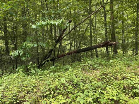 1168 Heaston Ridge Road Crawford WV 26343