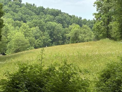 1168 Heaston Ridge Road Crawford WV 26343