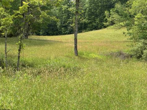 1168 Heaston Ridge Road Crawford WV 26343