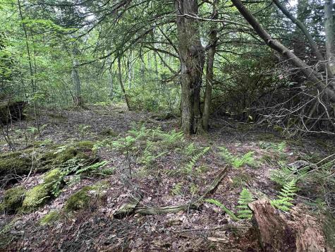 7 Tuscan Ridge Road Davis WV 26260